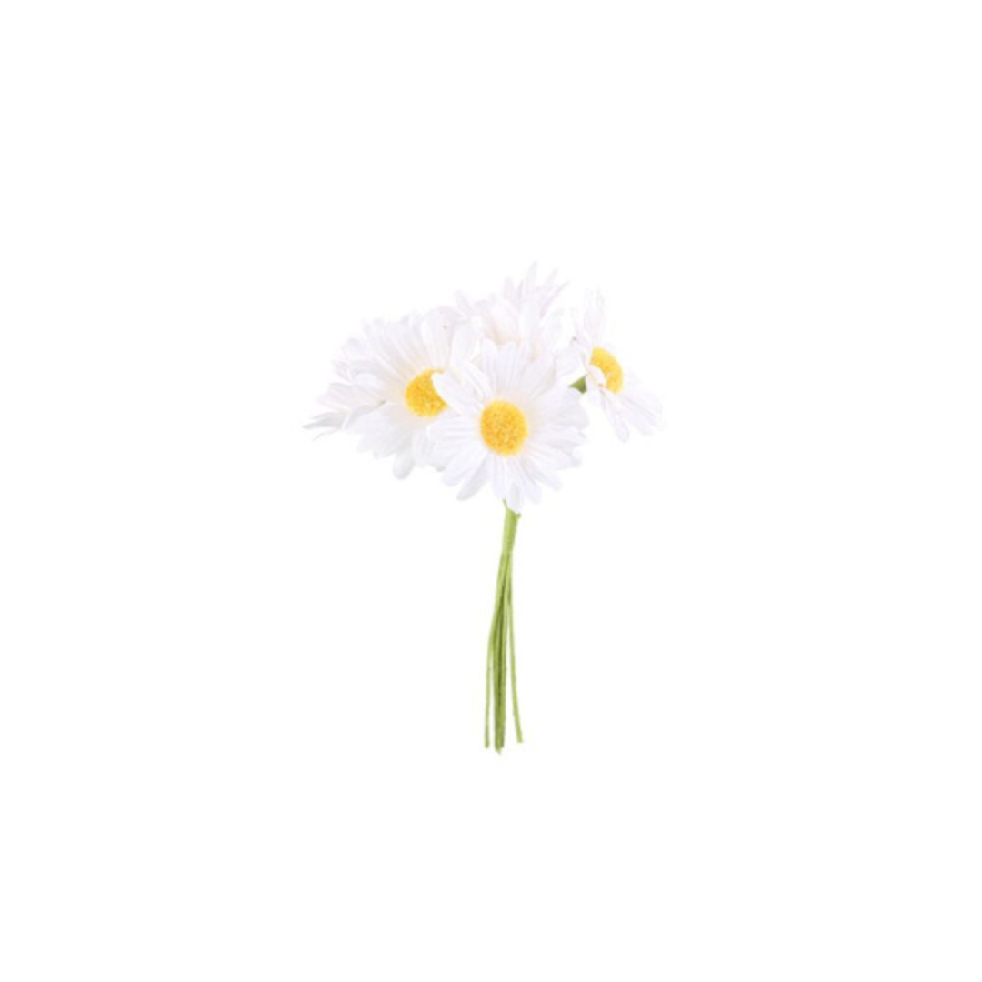 Daisy Flowers themabox – Het perfecte bloemenfeestje!