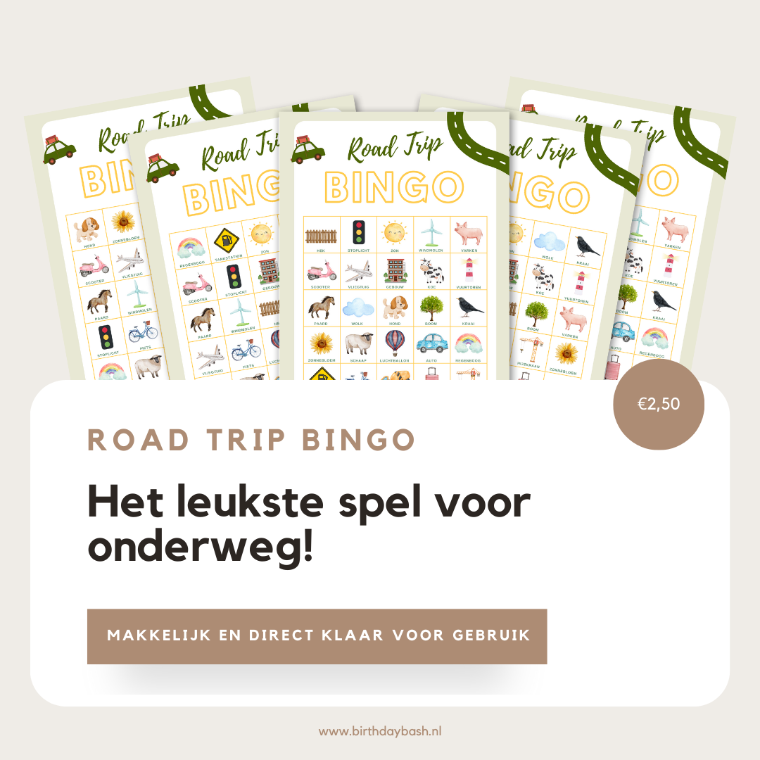 Road Trip Bingo - Het leukste spel voor onderweg